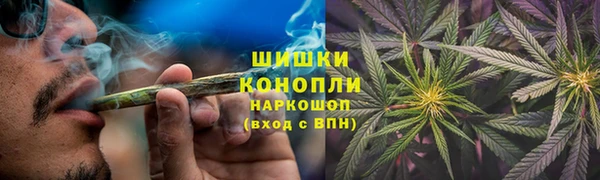 индика Остров