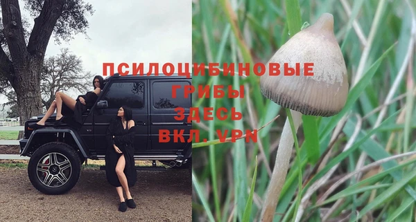 мет Осинники