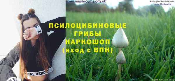 индика Остров