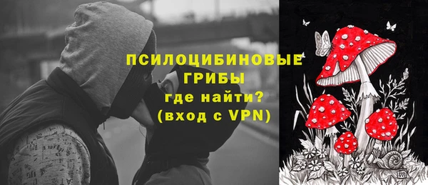 индика Остров